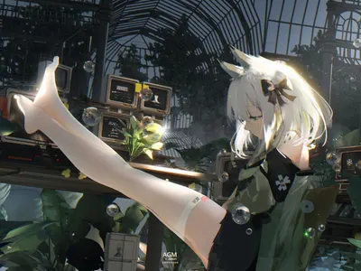 Cover Image of the Post